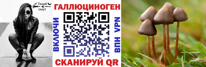 Галлюциногенные грибы MAGIC MUSHROOMS  Купить закладки  Кунгур 